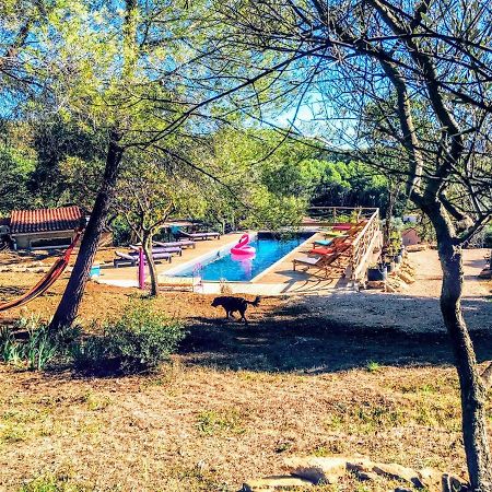 Arche De Noe Atypique, Boheme , Nature, Piscine Chauffee De Paques A Toussaint , Spa , Sauna , Loisirs Le Beausset Zewnętrze zdjęcie